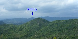 勘十郎岳→魚切山